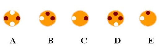 数字游戏（聪明人都在做的思维游戏11）2