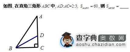 五年级奥数几何问题及答案：直角三角形1
