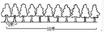 一年级奥数试题及答案:路边植树1